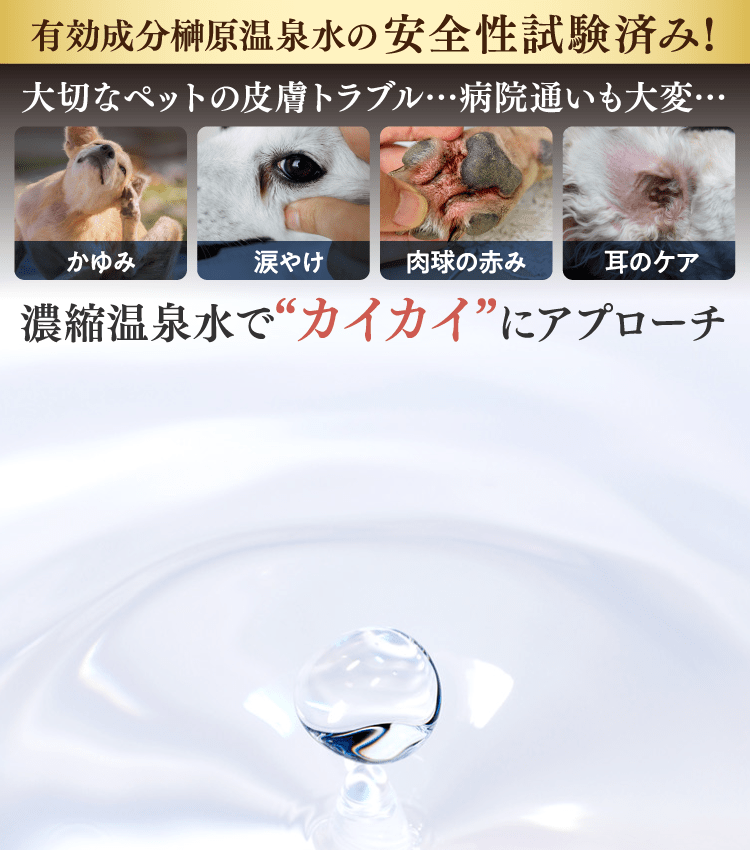 濃縮温泉水でカイカイにアプローチ