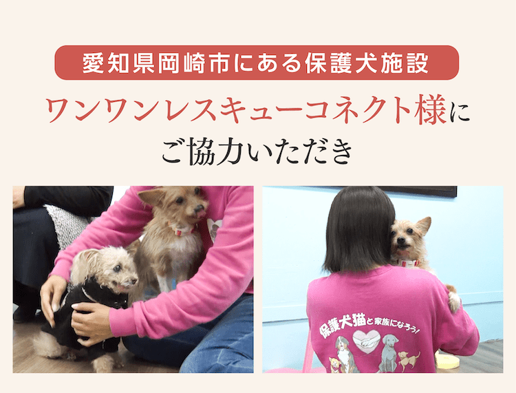 ワンワンレスキューコネクト様にご協力いただき
