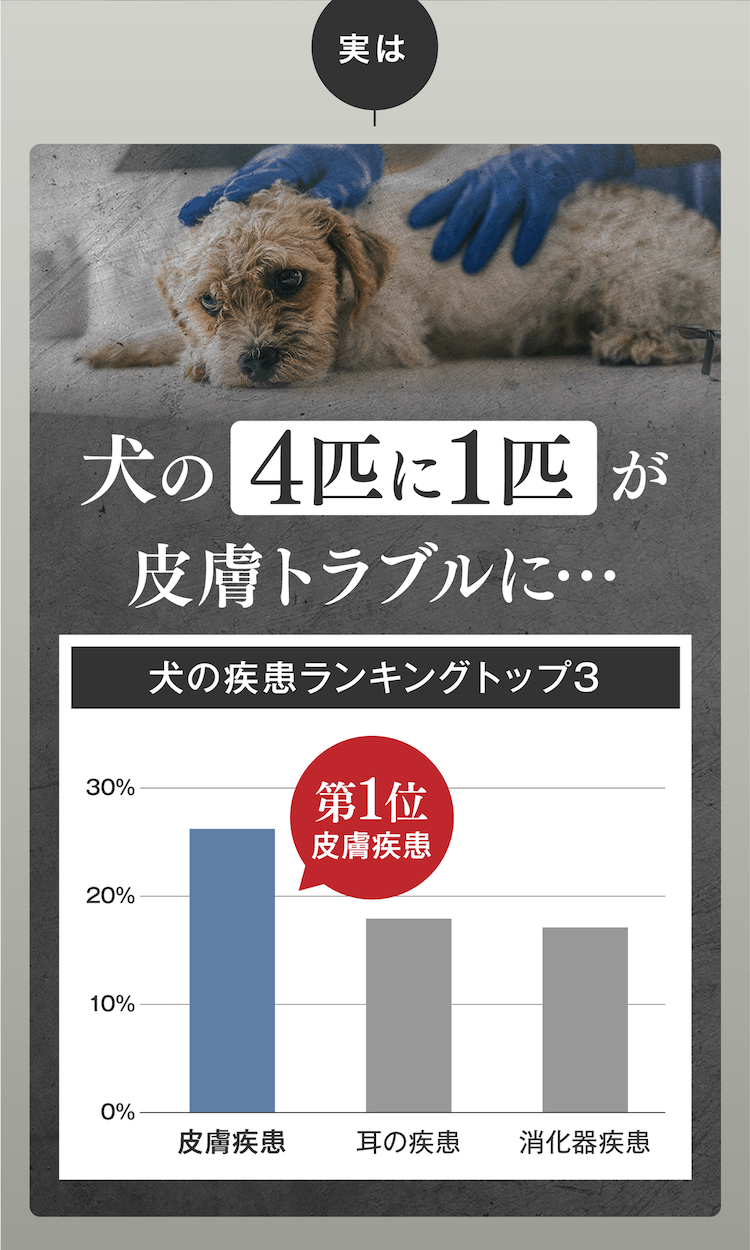 犬の4匹に1匹が皮膚トラブルに…