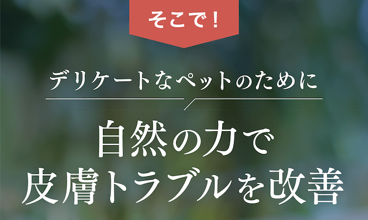 自然の力で皮膚トラブルを改善